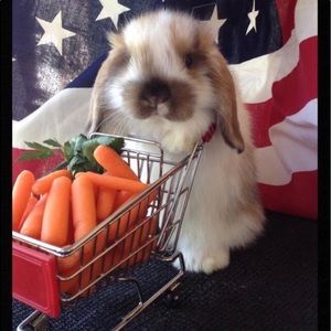 🇺🇸 WISHING EVERYONE A FUN AND SAFE HOLIDAY!